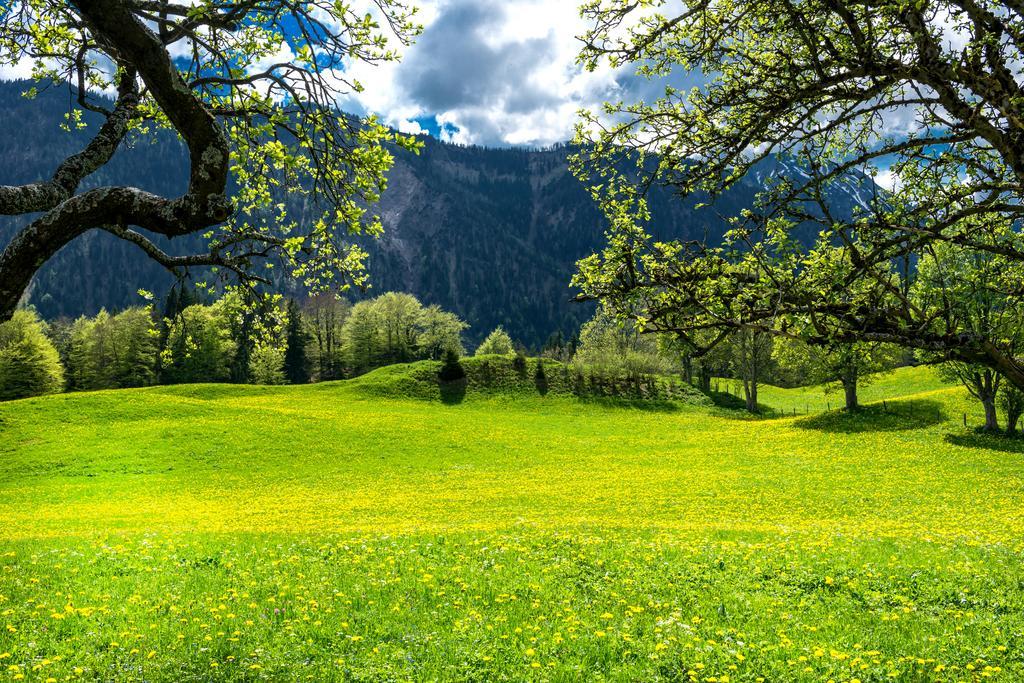 "Schoen-Urlauben" Grobming Exterior foto